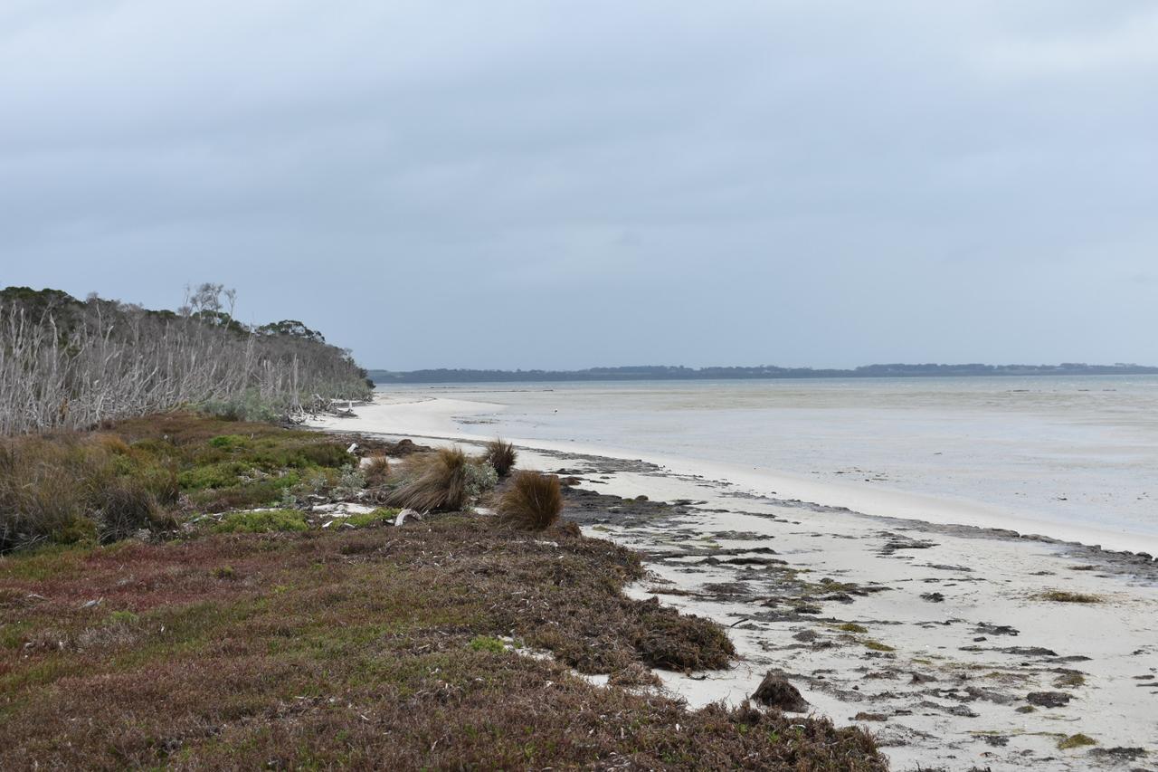 Tidal Dreaming Seaview Cottages ยานาคี ภายนอก รูปภาพ